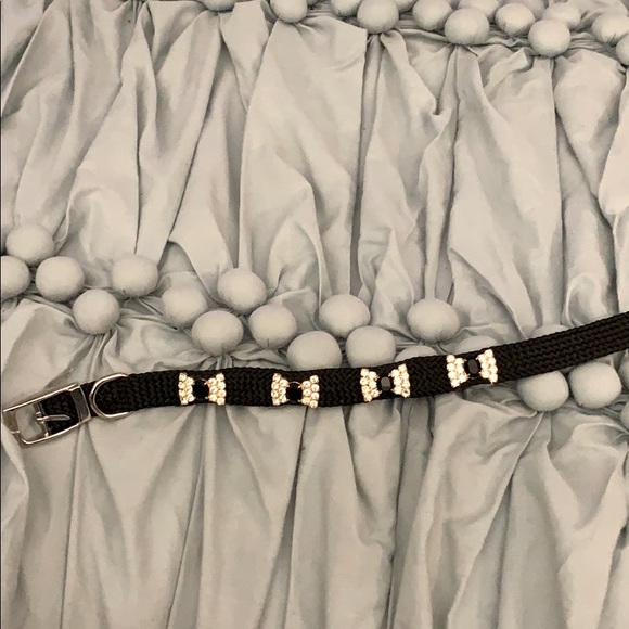 Dog or Cat collar - Picture 1 of 3